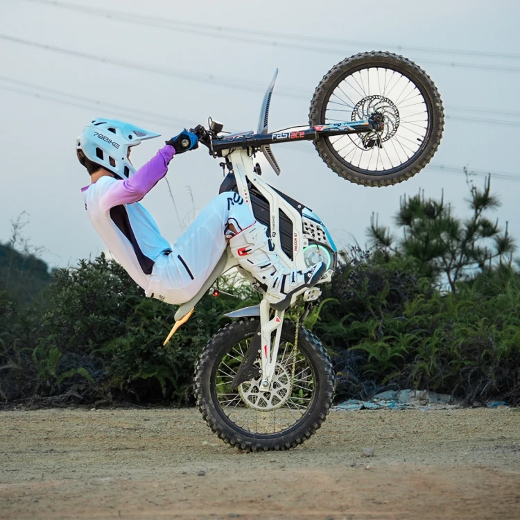 Cross elektryczny 79BIKE Falcon GT OFF-ROAD