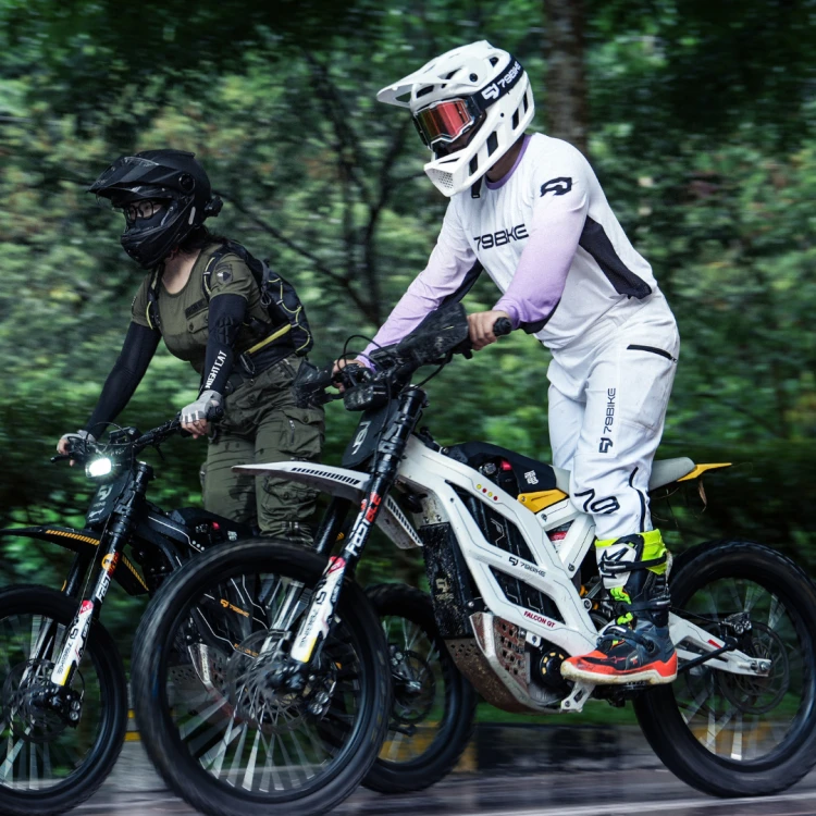 Cross elektryczny 79BIKE Falcon GT OFF-ROAD