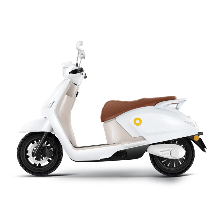 Motorower elektryczny Future
